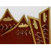 Петлицы командный состава, Войска НКВД, Командарм 2-го ранга, обр. 1937г.